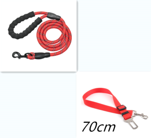 Reflective Dog Leash Nylon Pet Dog Leash Rope For Small Medium Large Dogs Walking Training Pet Suppiles (Option: Red set)