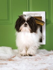 PetSafe Extreme Weather Pet Door (Option: Small)